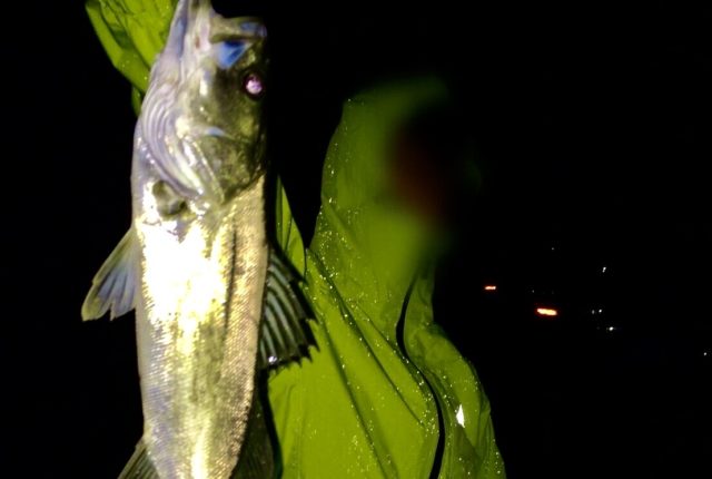 ワークマンイージスのレインウェアがコスパ最強 釣りロコブログ